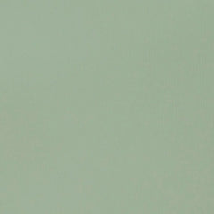 LIQUITEX BASICS ACRYLIC COLOUR - TUBE OF 118 ML - GREEN GREY (205)