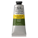 WINSOR & NEWTON GALERIA ACRYLIC COLOUR - TUBE OF 60 ML - OLIVE GREEN (447)