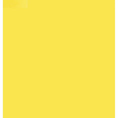 CAMEL HEAVY BODY ACRYLIC PAINT - HANSA YELLOW LIGHT (196) - TUBE OF 40 ML