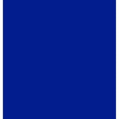 CAMEL HEAVY BODY ACRYLIC PAINT - COBALT BLUE HUE (056) - TUBE OF 40 ML