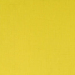 WINSOR & NEWTON PROFESSIONAL ACRYLIC COLOUR - TUBE OF 60 ML - CADMIUM LEMON (086)