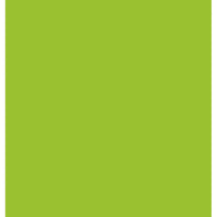 CAMEL HEAVY BODY ACRYLIC PAINT - LIGHT GREEN (YELLOW) (250) - TUBE OF 40 ML