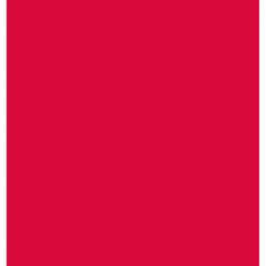 CAMEL HEAVY BODY ACRYLIC PAINT - QUINACRIDONE RED (364) - TUBE OF 40 ML