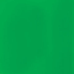 LIQUITEX BASICS ACRYLIC COLOUR - TUBE OF 118 ML - FLUORESCENT GREEN (985)