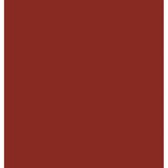 CAMEL HEAVY BODY ACRYLIC PAINT - RED OXIDE (372) - TUBE OF 40 ML