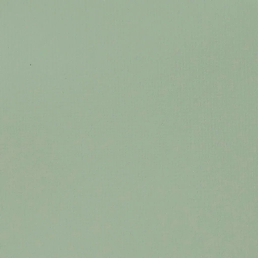 LIQUITEX BASICS ACRYLIC COLOUR - TUBE OF 118 ML - GREEN GREY (205)