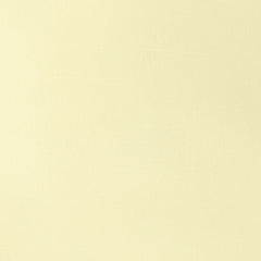 WINSOR & NEWTON GALERIA ACRYLIC COLOUR - TUBE OF 60 ML - PALE LEMON (434)