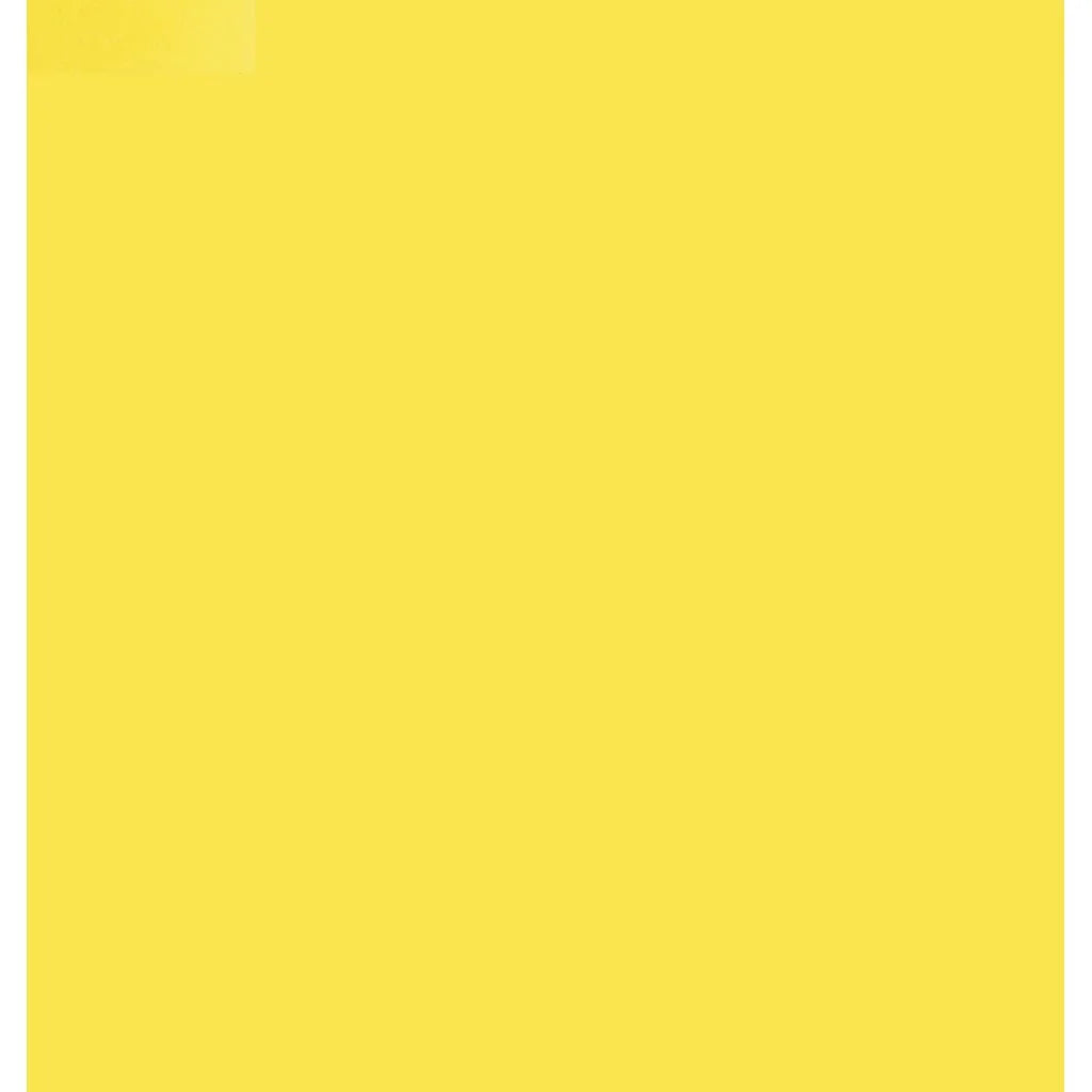 CAMEL HEAVY BODY ACRYLIC PAINT - HANSA YELLOW LIGHT (196) - TUBE OF 40 ML