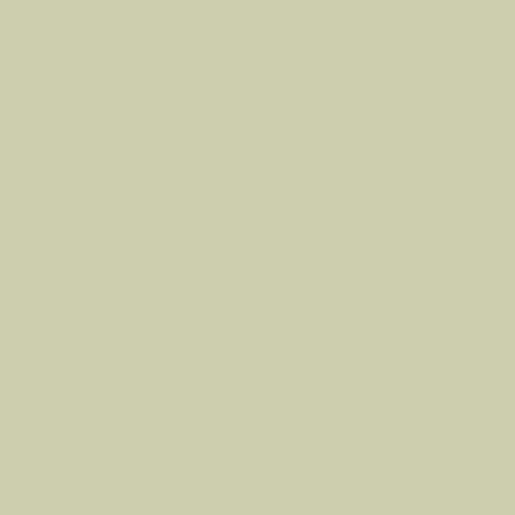 DECOART AMERICANA DÉCOR - CHALKY FINISH - ULTRA MATTE PAINT - 236 ML (8 OZ) BOTTLE - REVIVE (33)