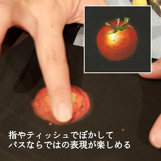 Pentel Crayons Professional Pass PTA-50D 49 Colors (White 2 Pack)